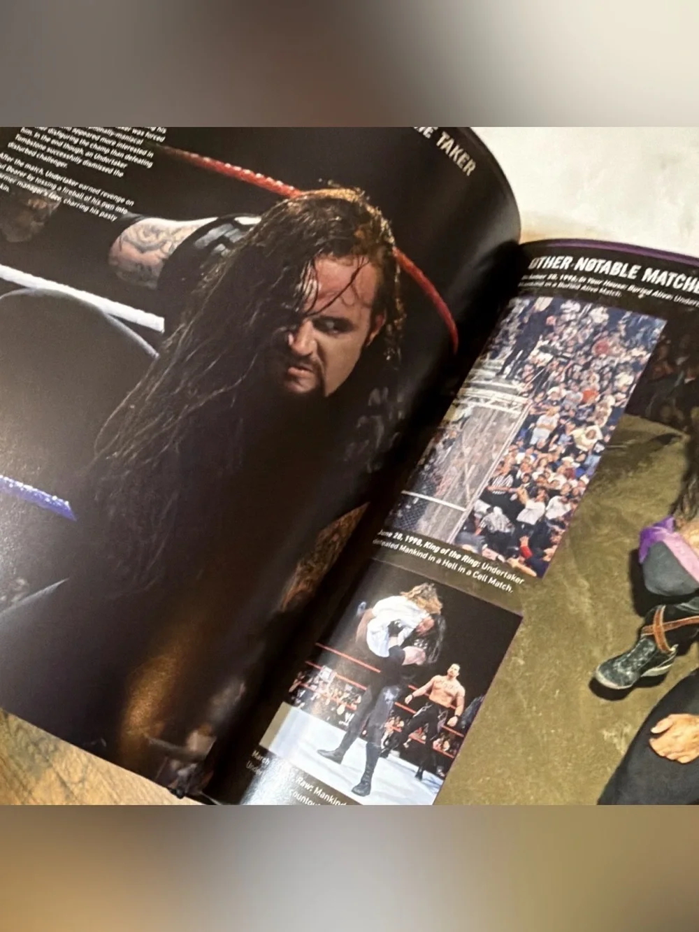 DK WWE Undertaker 25 Years of Destruction Hardcover Book 2015